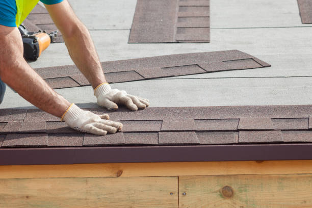 Best Sheet Metal Roofing  in Inverness, CO